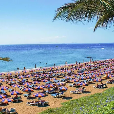 Ld One Bedroom Superior Apartment,nice View,pool, Beach דירה פוארטו דל כרמן